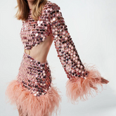 Rosie Long Sleeve Sequin Feather Cutout Mini Dress