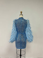 Frida Feather Long Sleeve Mesh Sequins Mini Dress