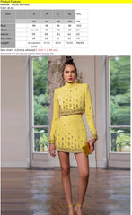 Darlina Long Sleeve Diamond Embellished Top & High Waist Mini Skirt