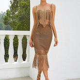 Leann Mesh Tassel Dress