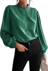 Women's Silk Button Down Shirts V Neck Long Sleeve Casual Work Office Blouse Top - Zeagoo (Us Only)