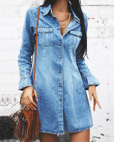 Denim Dress Long Sleeve Button Down Distressed Loose Casual Mini Shirt Dress