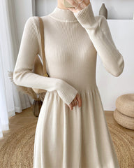 Long-Sleeve High Neck Plain Ribbed Midi A-Line Knit Dress