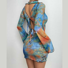 Sheer mesh long sleeve print hollow out dress