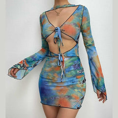 Sheer mesh long sleeve print hollow out dress