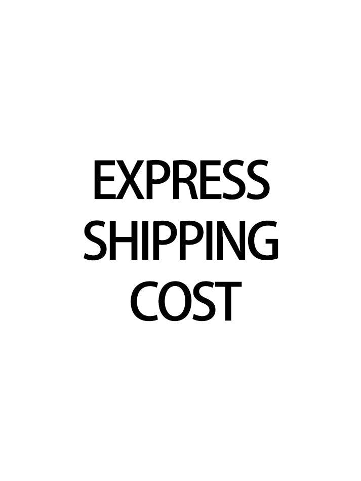 Express Shipping Cost