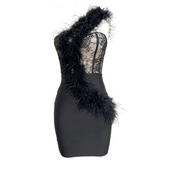 Pearle One-shoulder Feather Lace Mini Dress