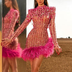 Keyla Sheer Feather Long Sleeve Dress
