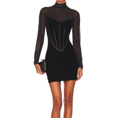Ellie Long Sleeve High Neck Mesh Mini Dress