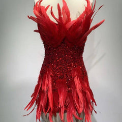 Ember Heart Neckline Feathers Sequins Mini Dress