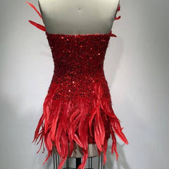 Ember Heart Neckline Feathers Sequins Mini Dress