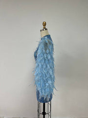 Frida Feather Long Sleeve Mesh Sequins Mini Dress