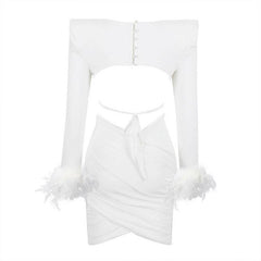 Margaret Feather Long Sleeve Round Neck Top & Asymmetrical Mini Skirt