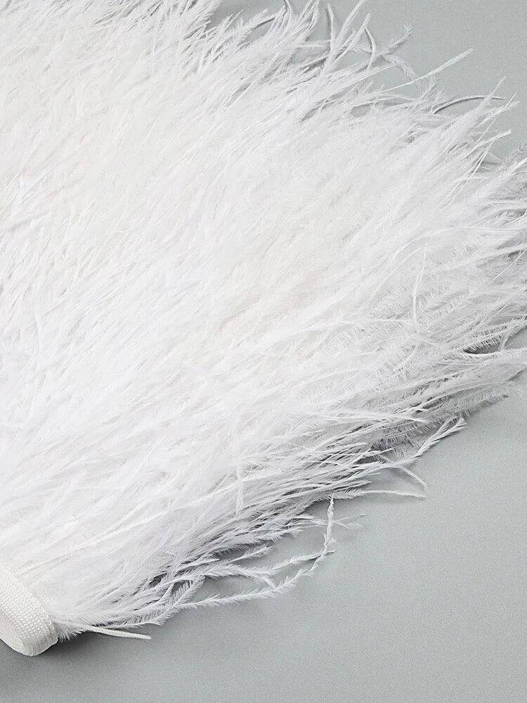 Minerva Strapless Feather Cropped Top & Mesh Long Skirt Set