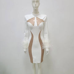 Estella Color Block Feather Mesh Mini Dress