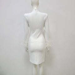 Estella Color Block Feather Mesh Mini Dress
