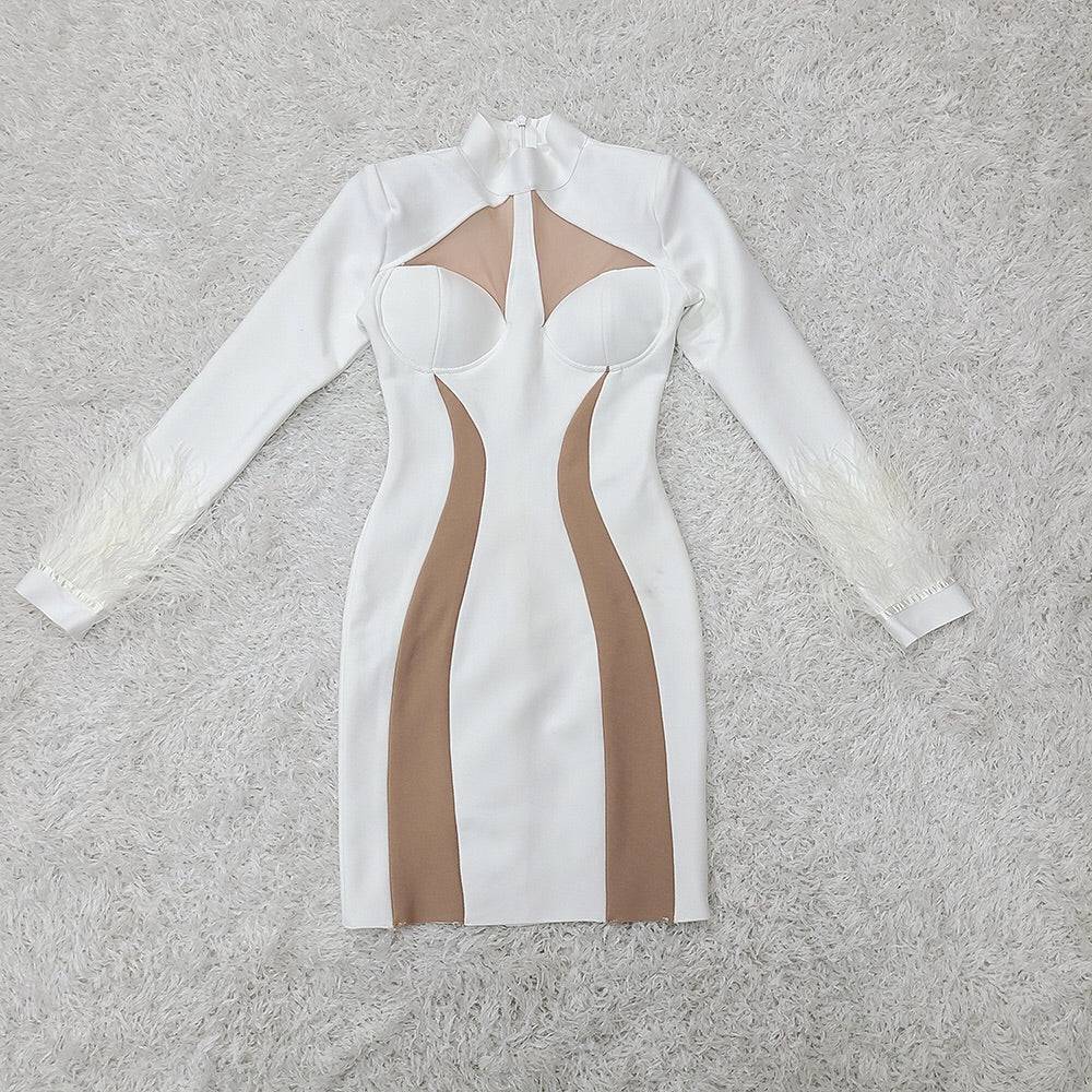 Estella Color Block Feather Mesh Mini Dress