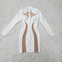 Estella Color Block Feather Mesh Mini Dress