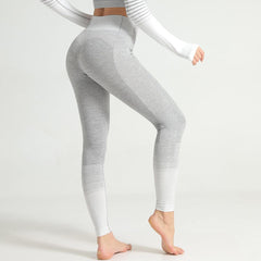 Alivia Ombre Seamless Leggings