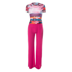 Sheer mesh see through short sleeve contrast pant set