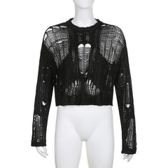 Solid hollow out crochet long sleeve round neck cut out top