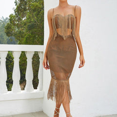 Leann Mesh Tassel Dress