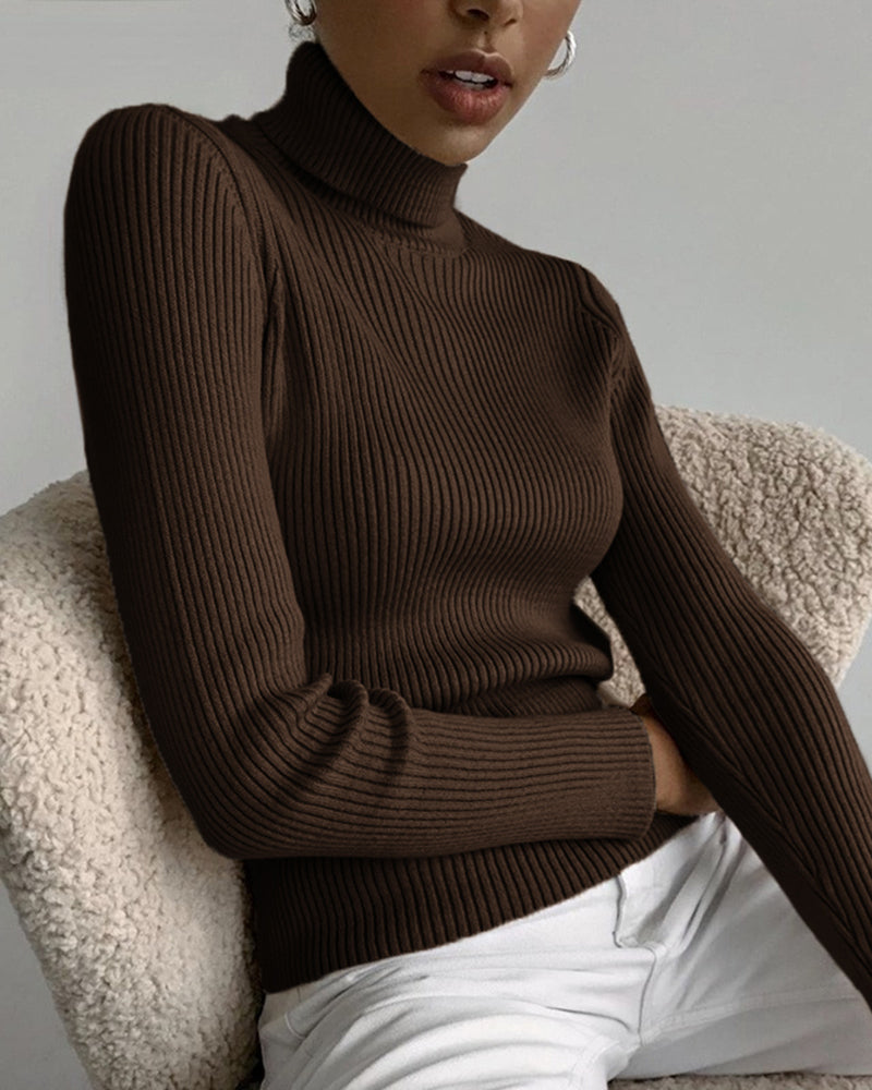 Vertical Stripe Knitted Turtleneck Sweater