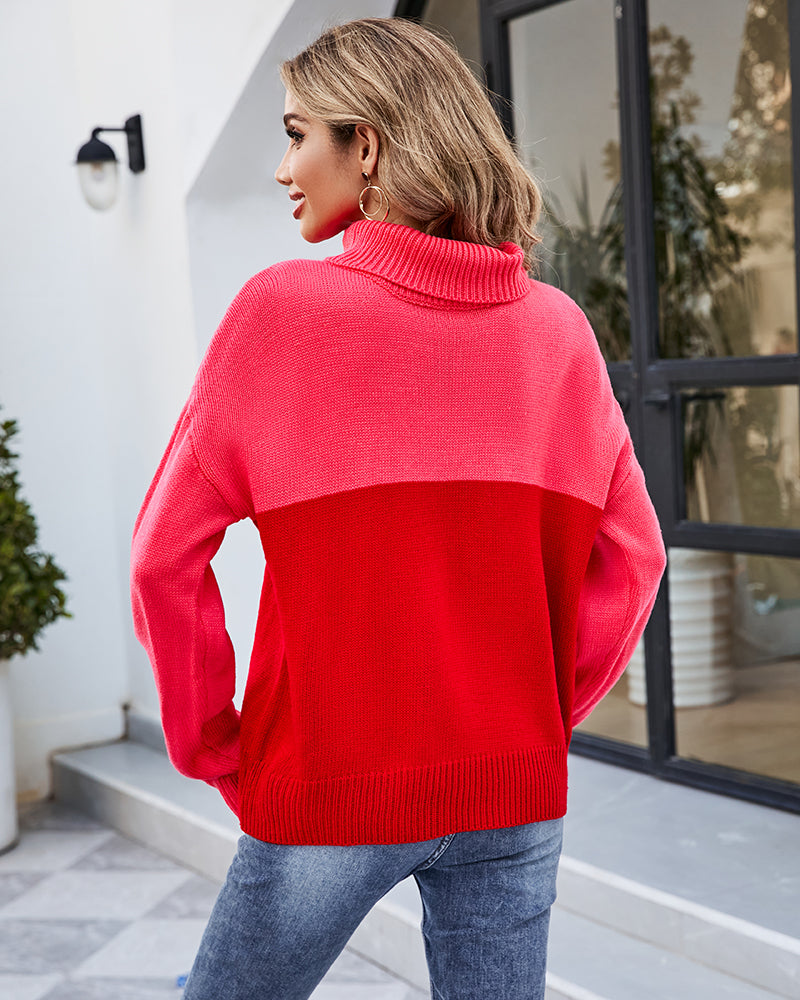 Contrast Color Turtleneck Sweater