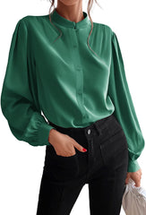 Women's Silk Button Down Shirts V Neck Long Sleeve Casual Work Office Blouse Top - Zeagoo (Us Only)